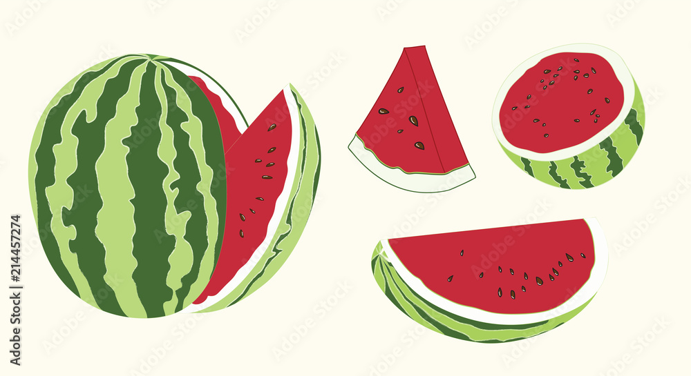 Watermelon Summer Fruit Vector Illustration Element Set Watermelon Summer Fruit Vector Illustration Element Set