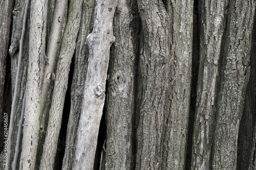 Stack of firewood abandoned for long time outside