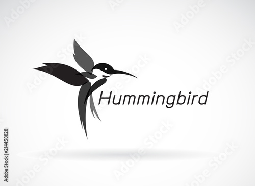 Vector of hummingbird design on white background., Wild Animals. Birds Icon., Easy editable layered vector illustration.