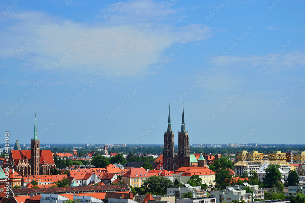 Panorama Wrocławia z mostem na horyzoncie.