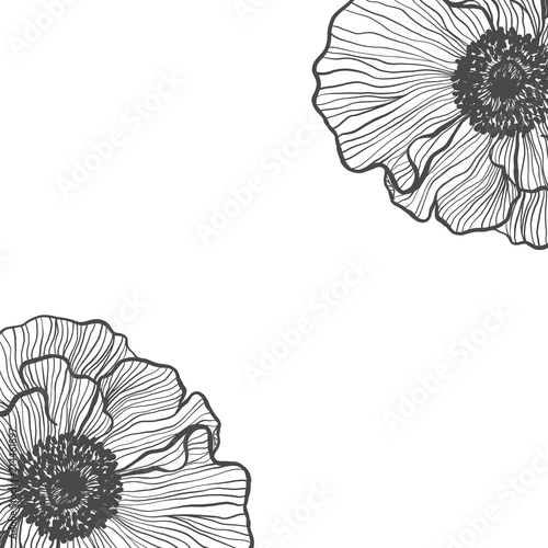 Holidays template for your design with flowers poppies vector.