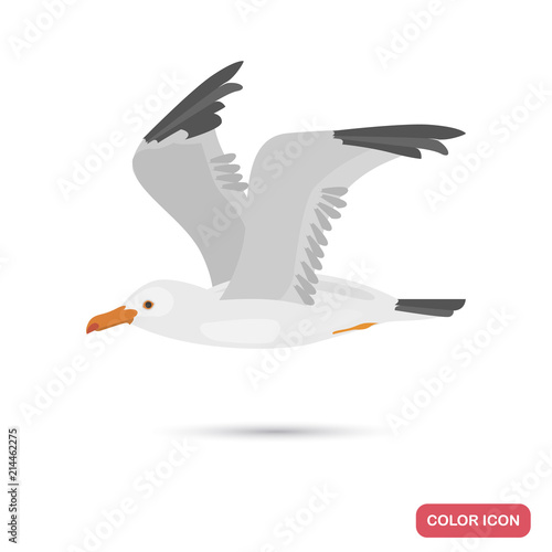 Flying seagull color flat icon