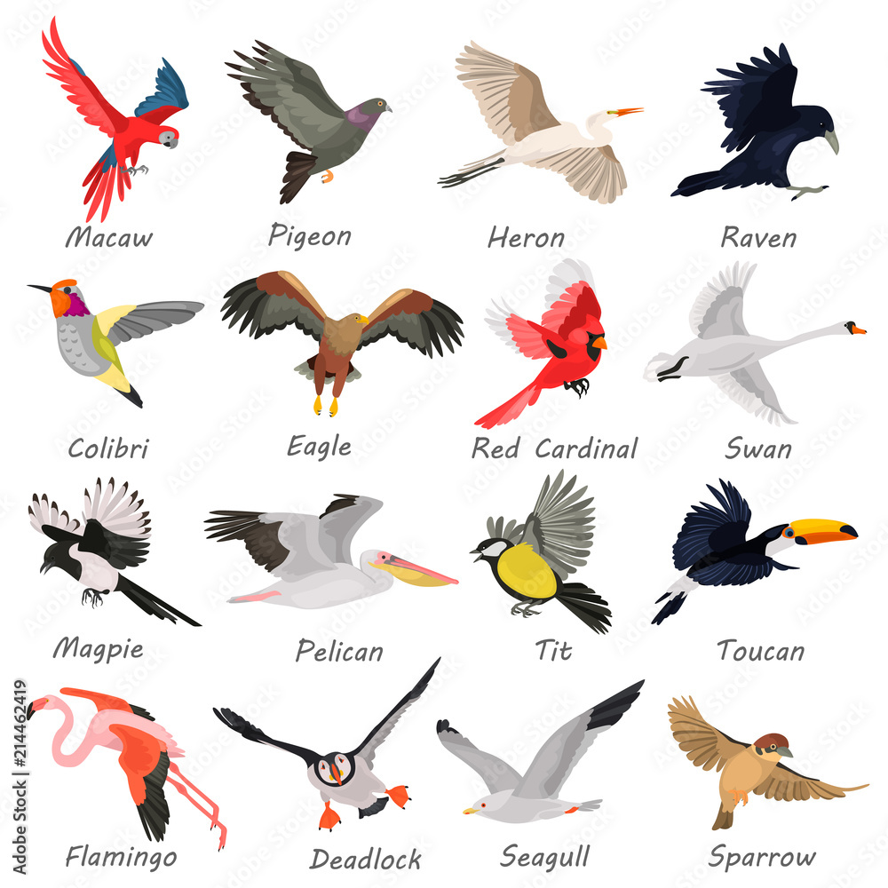 Obraz premium Flying birds high quality icons set