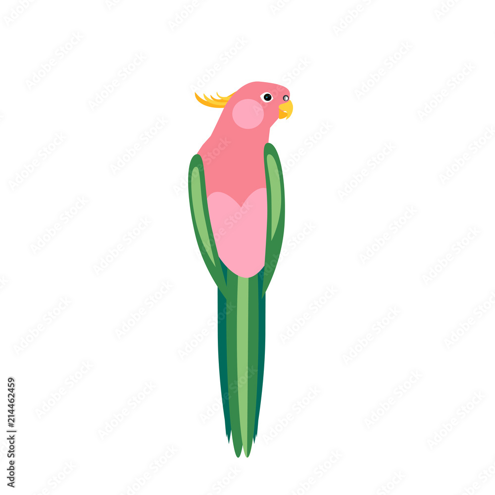 Parrot corella isolate on white background in vector flat. Parrot corella isolate on white background in vector flat.