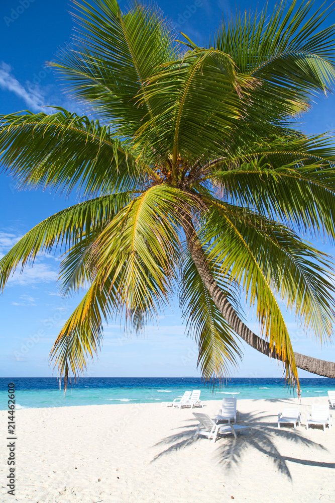 Fototapeta premium Maldives