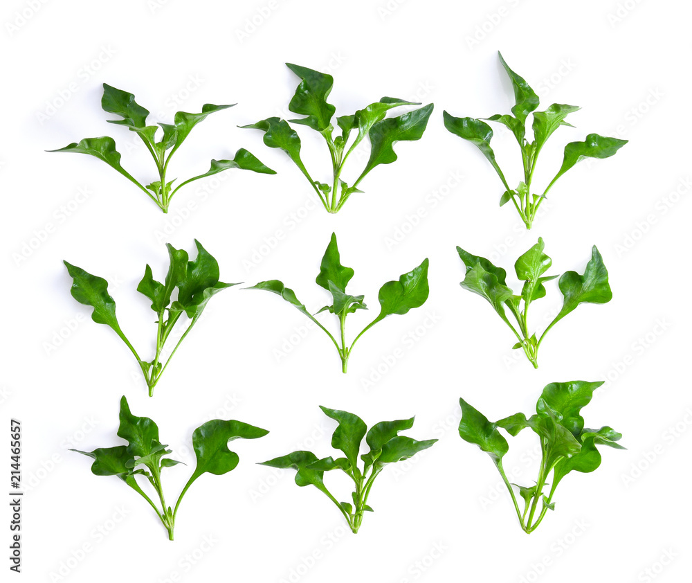 Watercress on white background Watercress on white background