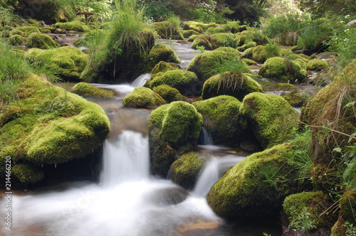 wodospad  woda  rzeka  potok  charakter  bory  ziele    krajobraz  kaskada  mech  jary  kamienie  opoka  g  ra  creek  przep  yw  opad  beuty  pi  kne  przep  ywaj  ce  opad  swiezy  ruch  park  naturalny