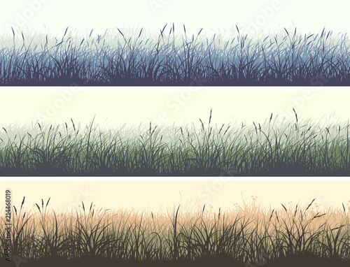 Horizontal color banners of meadow with high grass.
