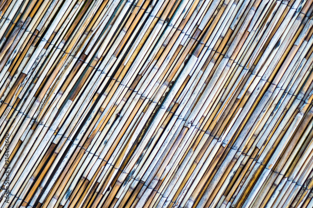 bamboo wicker texture of thin shoots bamboo wicker texture of thin shoots