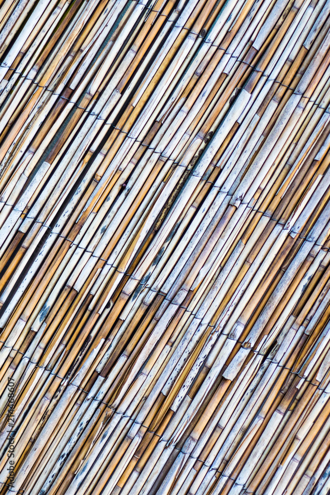 bamboo wicker texture of thin shoots bamboo wicker texture of thin shoots