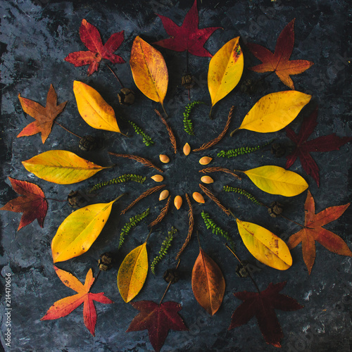 Autum. n leaves in mandala shape flat lay on dark background. Meditative zen concept.