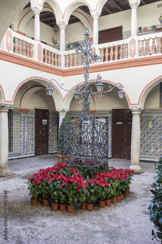 Palace of Monsalud, Lower floor courtyard, , Almendralejo, Spain photo