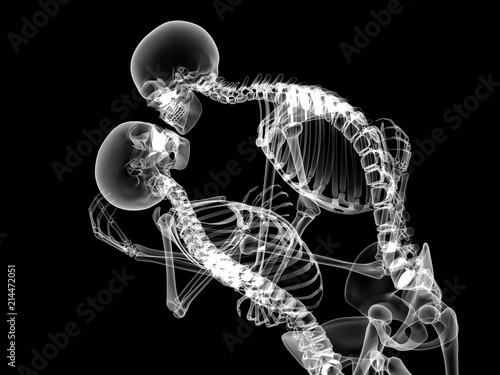 X RAY Skeleton Couple in love 3D Render photo