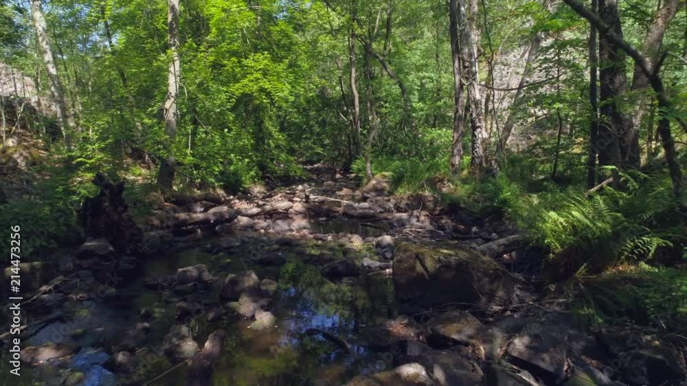 Flying over water stream in deciduous forest. Scenic drone shot flying over river in the woods, logs and rocks. Sunlight peeking through the trees. Beautiful nature scenery background in 4K resolution Flying over water stream in deciduous forest. Scenic drone shot flying over river in the woods, logs and rocks. Sunlight peeking through the trees. Beautiful nature scenery background in 4K resolution