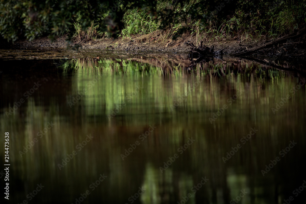 Obraz premium Reflections on a Lake