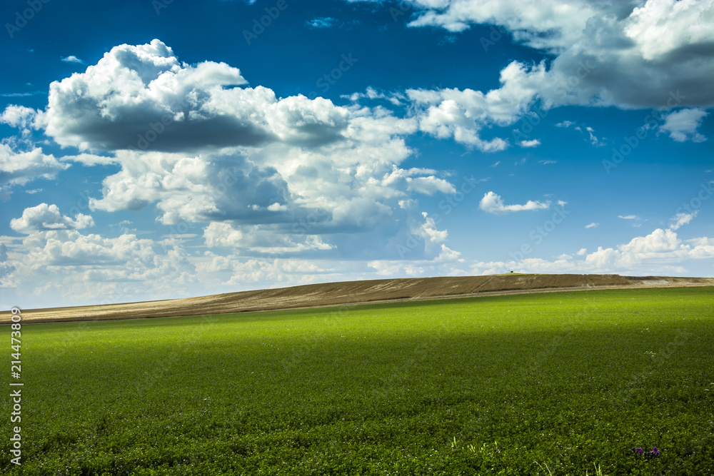 Green large meadow and clouds on a blue sky Green large meadow and clouds on a blue sky