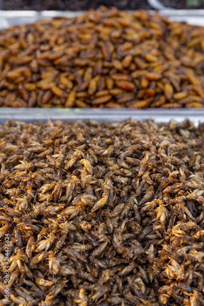 Delicious deep fried insects mixed with soi sauce. at streets thai food display of Khao San Road in Bangkok, Thailand Delicious deep fried insects mixed with soi sauce. at streets thai food display of Khao San Road in Bangkok, Thailand
