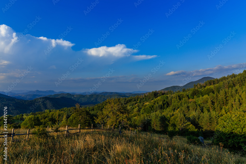 Landscape with green trees and blue sky