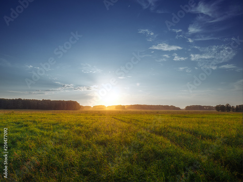 Green field, illuminated by the sun and blue sky at sunset on a summer evening. Landscape of the European part of Russia or Eastern Europe