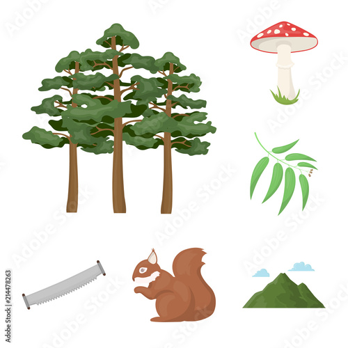 Forest and nature cartoon icons in set collection for design. Forest life vector symbol stock web illustration.