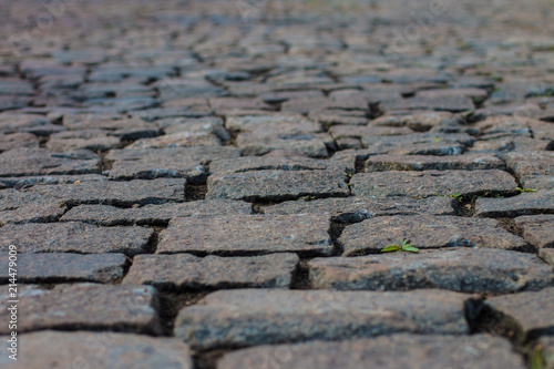 alley in the Park paved with granite stones. stone blocks