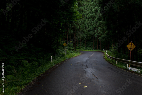 Wallpaper Mural 森林 ガードレール 山 夜道 Torontodigital.ca