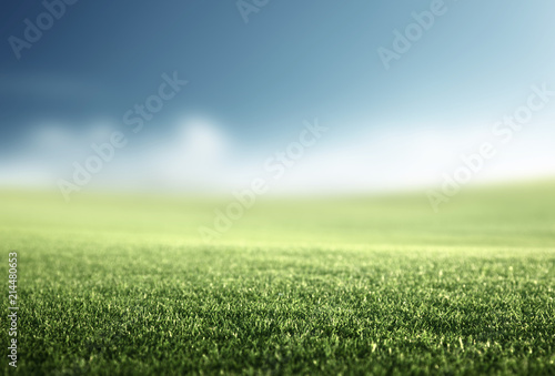 field of spring grass (shallow DOF) © Iakov Kalinin