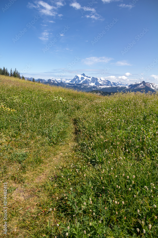 Path through alpine meadows leads to views of Mt Shuksan.