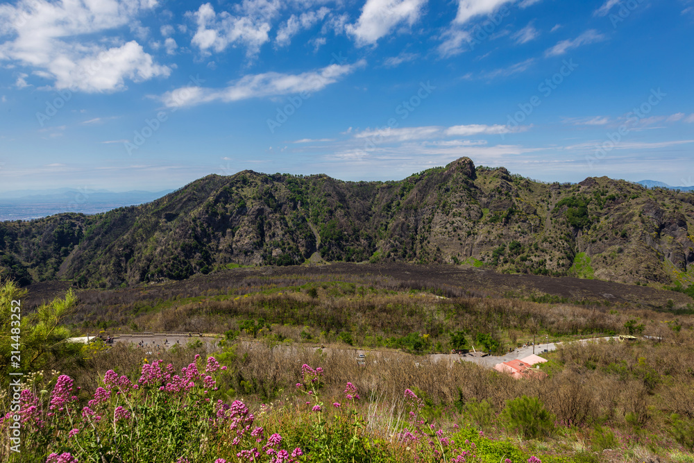 Vesuvius volcano crater