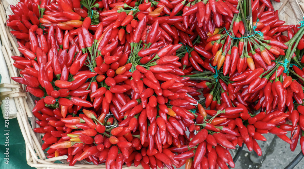 Naklejka premium Red Pepper Chili Group 