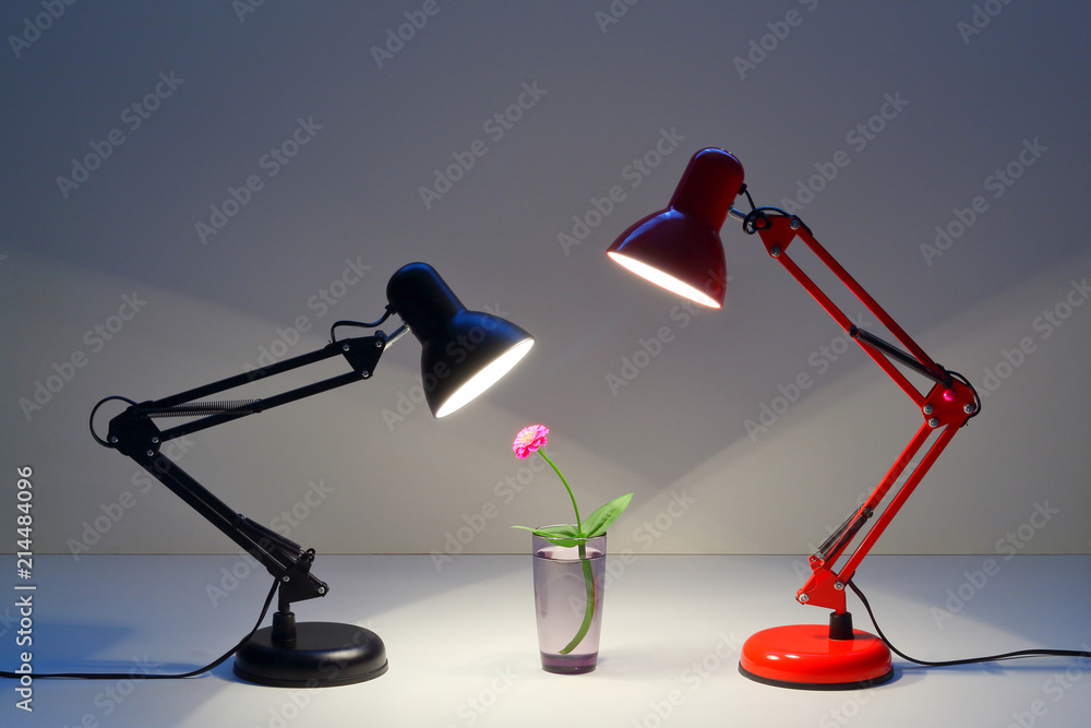 red and black table lamp shining on a red flower and warms with its warmth