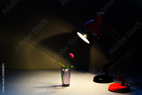 red and black table lamp shining on a red flower and warms with its warmth