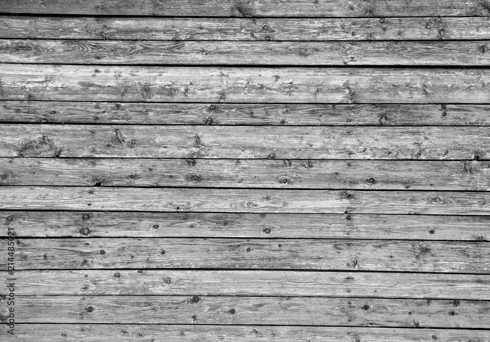 Obraz premium The texture of the tree in black and white. The black and white image