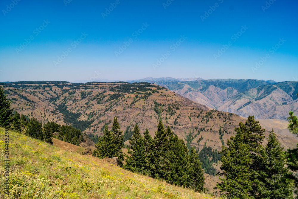View of the Snake River valley area in northeastern Oregon, USA