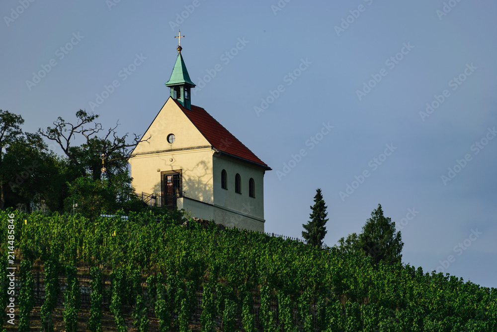 Small Church in Wineyard Small Church in Wineyard