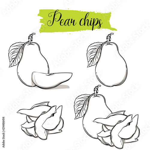 Hand drawn sketch style Pear set. Single, group fruits, pear chips, slices. Organic food, vector doodle illustrations collection isolated on white background.