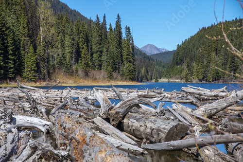 Log jam at eastern end of Duffey Lake, BC, Canada.