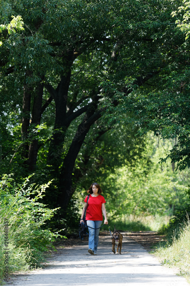 A woman dressed in jeans and a red T-shirt is walking with a dog of the Staffordshire terrier breed along the park alley
