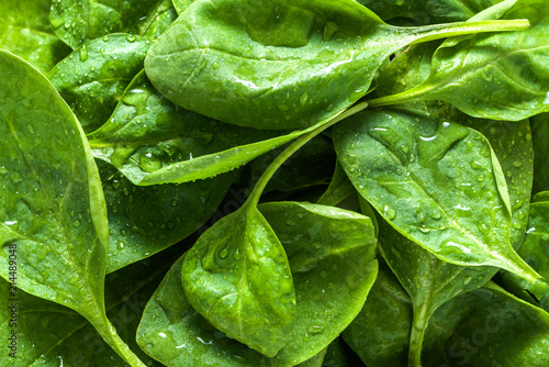 Fresh green spinach, background with leaves, vegetable diet and vegetarian food concept