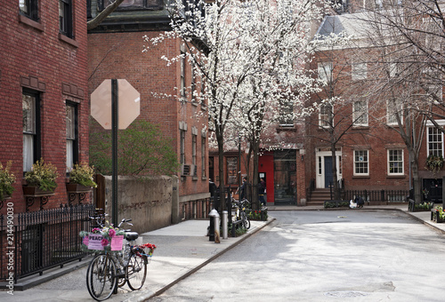 Idyllische Ecke in Greenwich Village, Manhattan, New York City, New York, Vereinigte Staaten von Amerika, USA