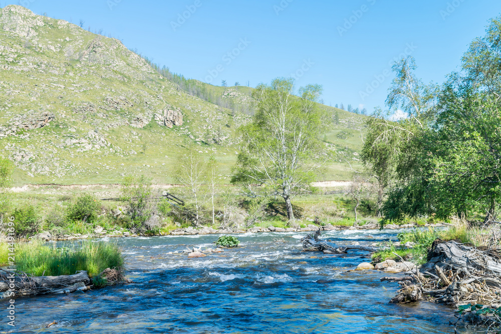 Mountain altay summer river 