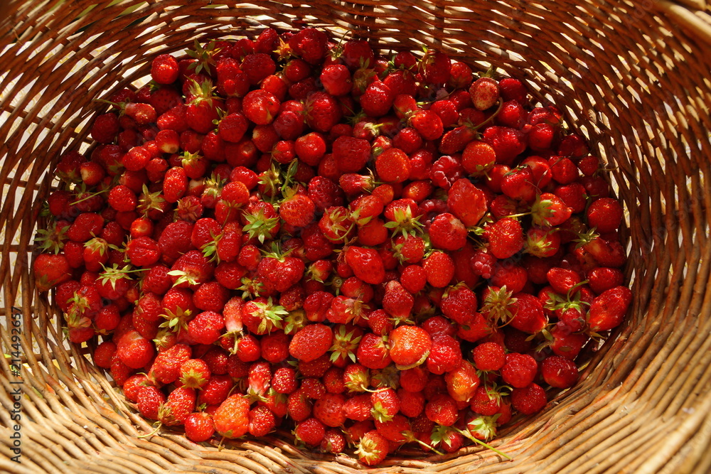 strawberries in a wicker basket close-up view from above strawberries in a wicker basket close-up view from above