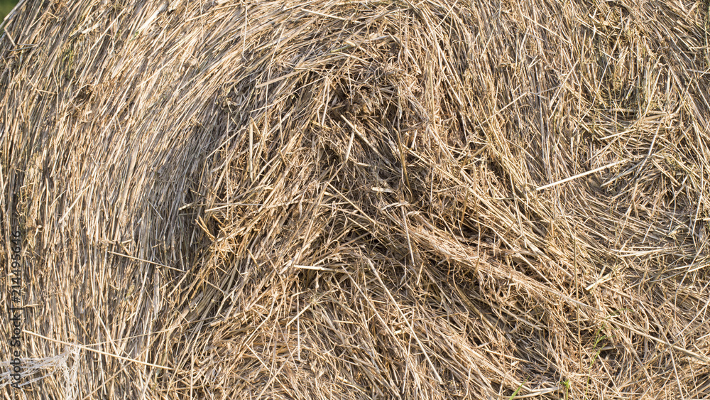 Bale of dry straw - texture, close up. Bale of dry straw - texture, close up.