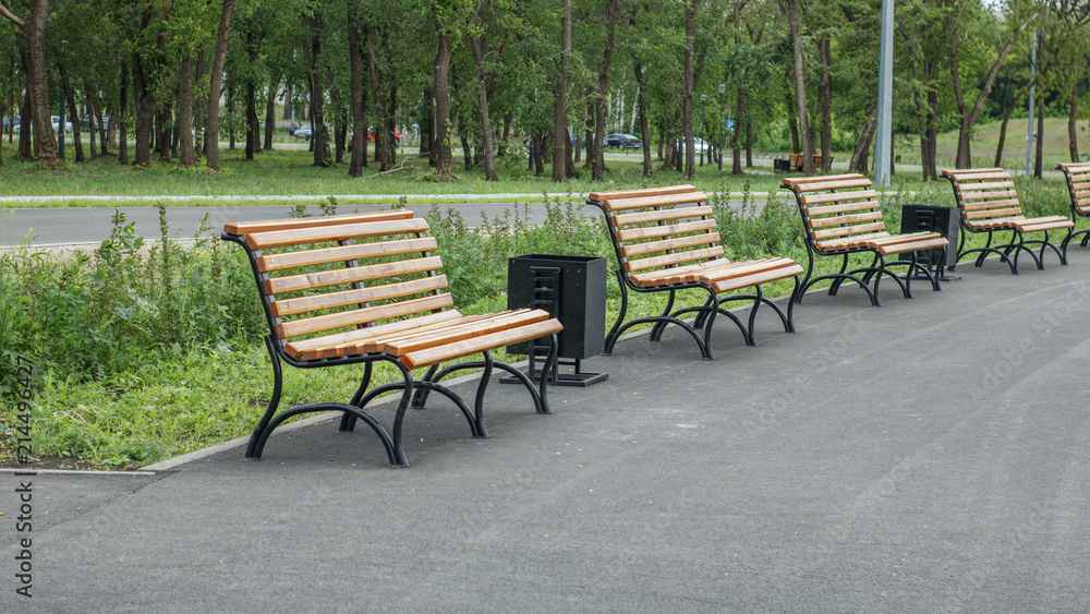 Wooden benches in the summer city park