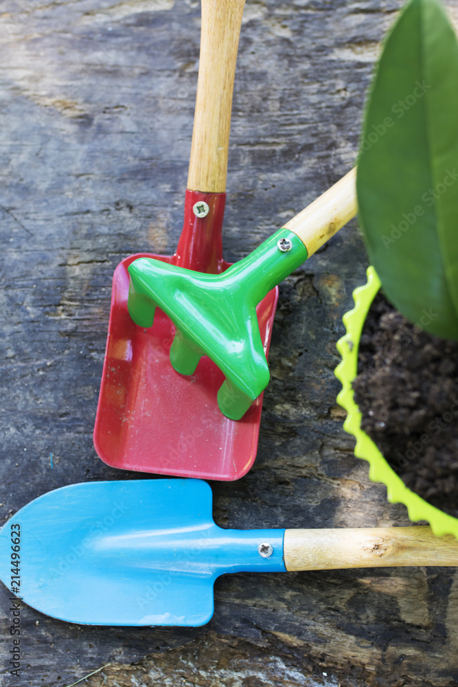 plant in the flowerpot and gardening tools plant in the flowerpot and gardening tools