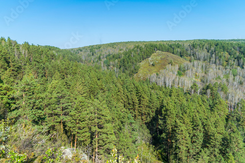 Autumn mountain forest in Siberia in the early autumn