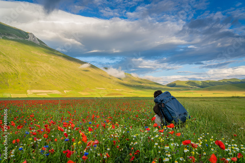 Fotografía Europe, Italy, Umbria, Perugia district, Castelluccio of Norcia blooming, Monti Sibillini National Park