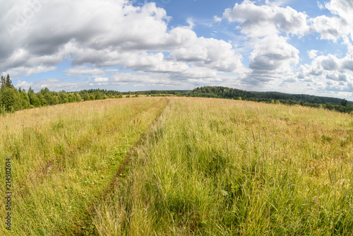 Open meadows of Karelia  summer  fisheye