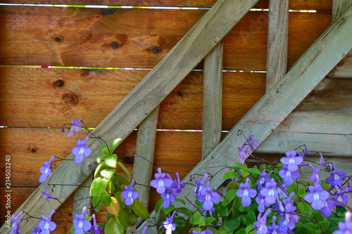A wooden wall with purple flowers