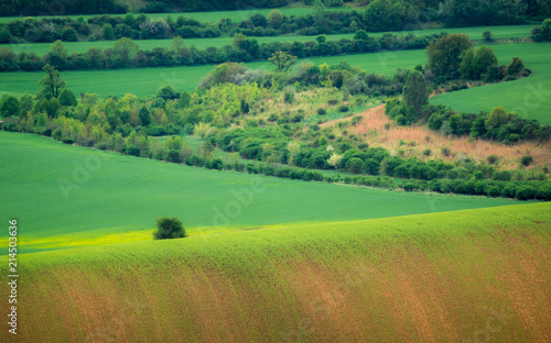 Moravian fields near Nasedlovice, Moravia, Czech Republic